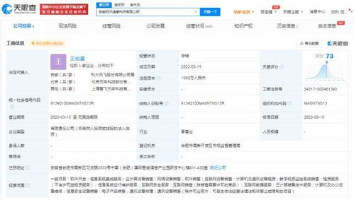 科大讯飞深耕软件服务，安徽成立新公司加速业务版图扩张